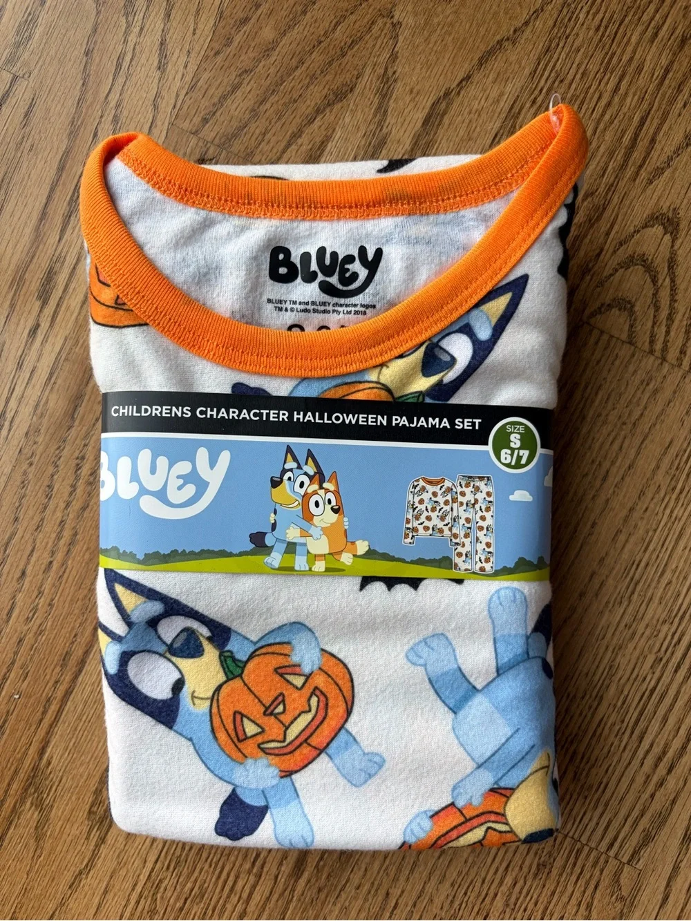 Source Unknown Bluey Halloween Pajama Set with Orange Trim